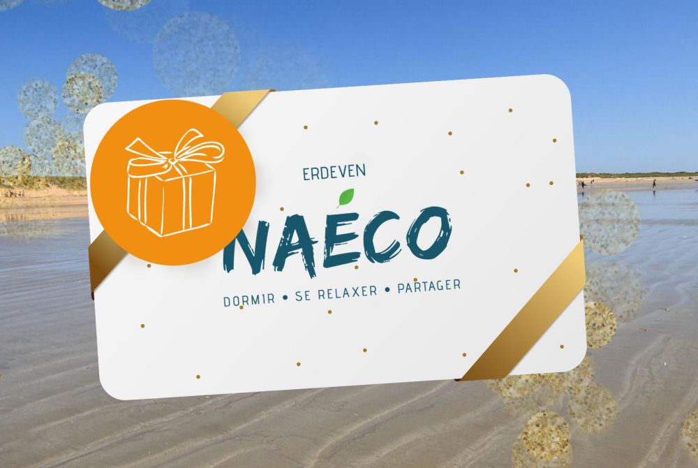 bon cadeau séjour hôtel erdeven morbihan