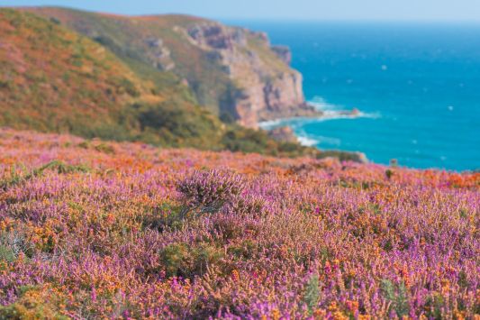 What to do in Southern Brittany in spring