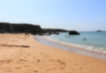 Nouvelle destination Naéco à venir bretagne