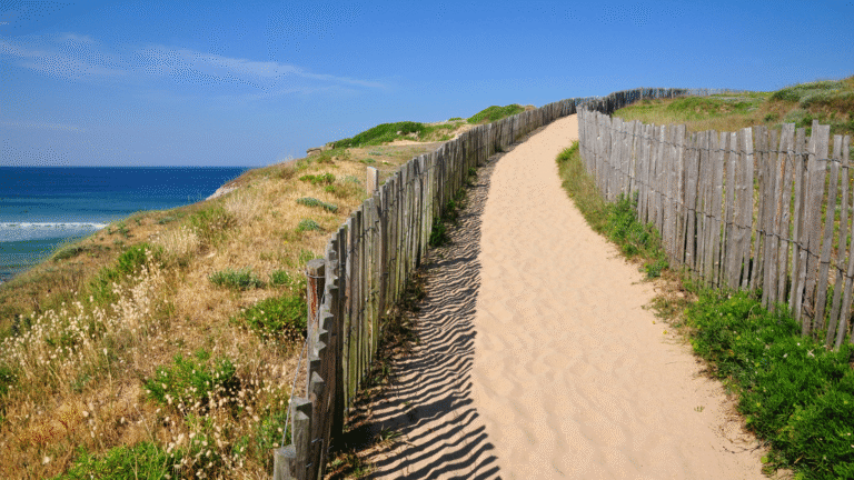 Massif Dunaire de Gâvres à Quiberon