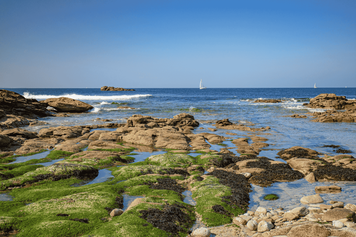 Sejour en Baie de Quiberon avec la Tiny room Naeco