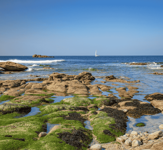 Séjour en Baie de Quiberon avec la Tiny room Naéco